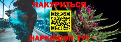 индика Сланцы