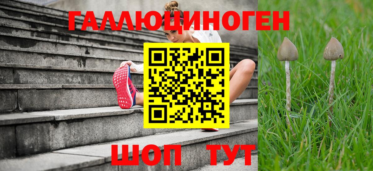 Кулебаки  Галлюциногенные грибы прущие грибы  Вход с VPN 