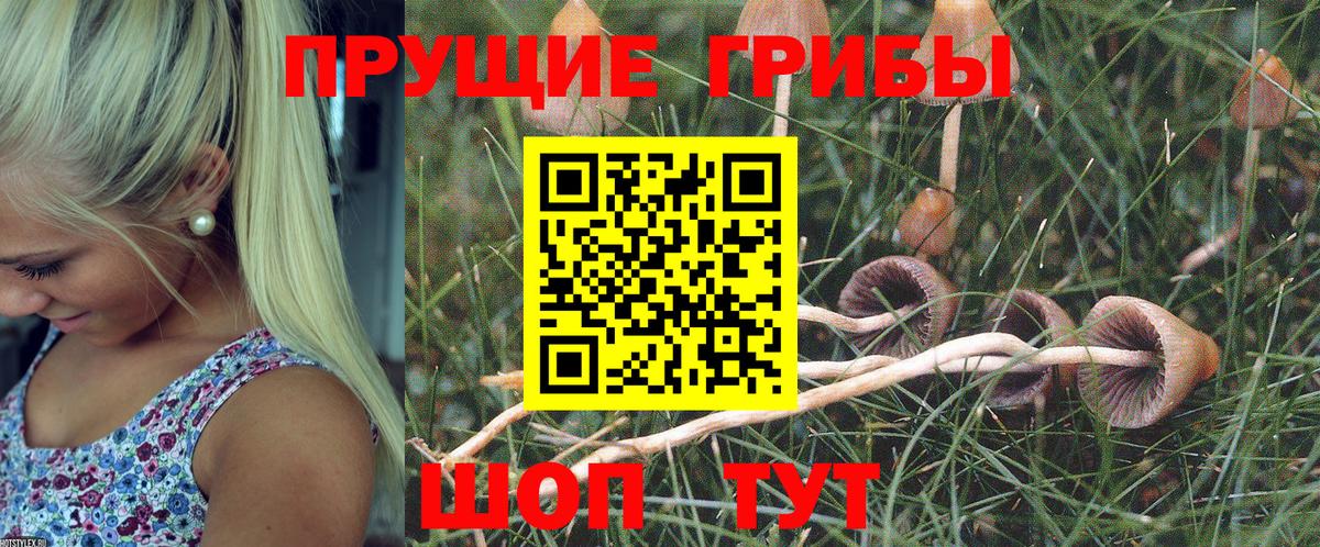 Псилоцибиновые грибы мухоморы Кулебаки